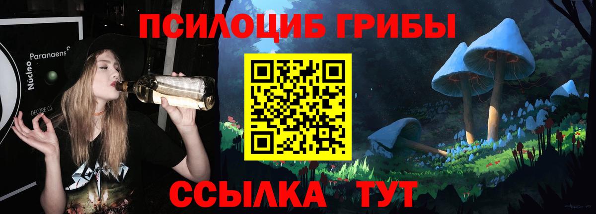 Галлюциногенные грибы ЛСД  Вход с VPN  Галлюциногенные грибы GOLDEN TEACHER  Соль-Илецк 